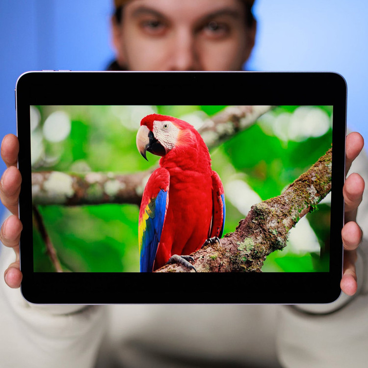 تبلت 13 اینچ اپل مدل iPad Air 2026 M4 Wi-Fi ظرفیت 512 گیگابایت و رم 12 گیگابایت، رزولوشن دوربین اصلی ۱۲ مگاپیکسل، پشتیبانی از قلم و کیبورد