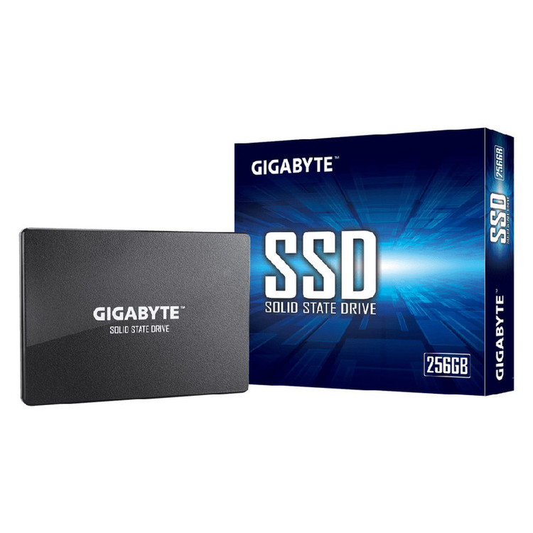 اس اس دی اینترنال گیگابایت مدل GP-GSTFS31256GTND ظرفیت 256 گیگابایت